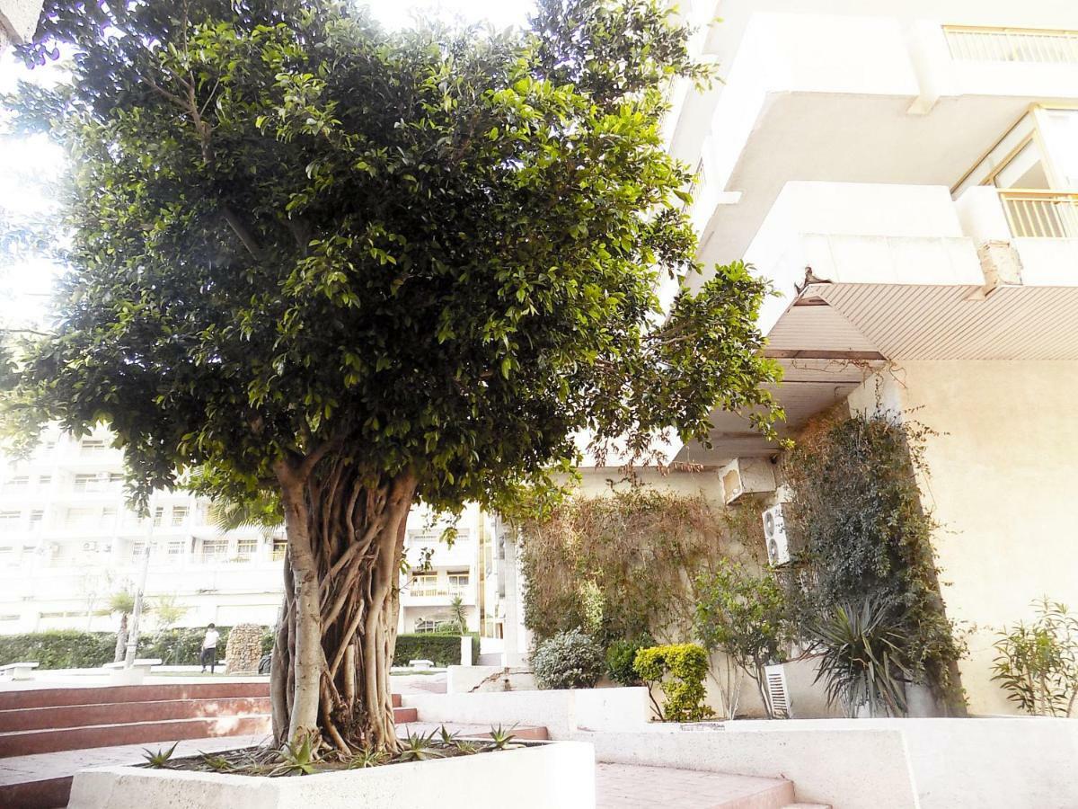 Апартаменты Apartsalou Lea Экстерьер фото
